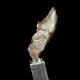 Side View of Sikhote Alin Meteorite