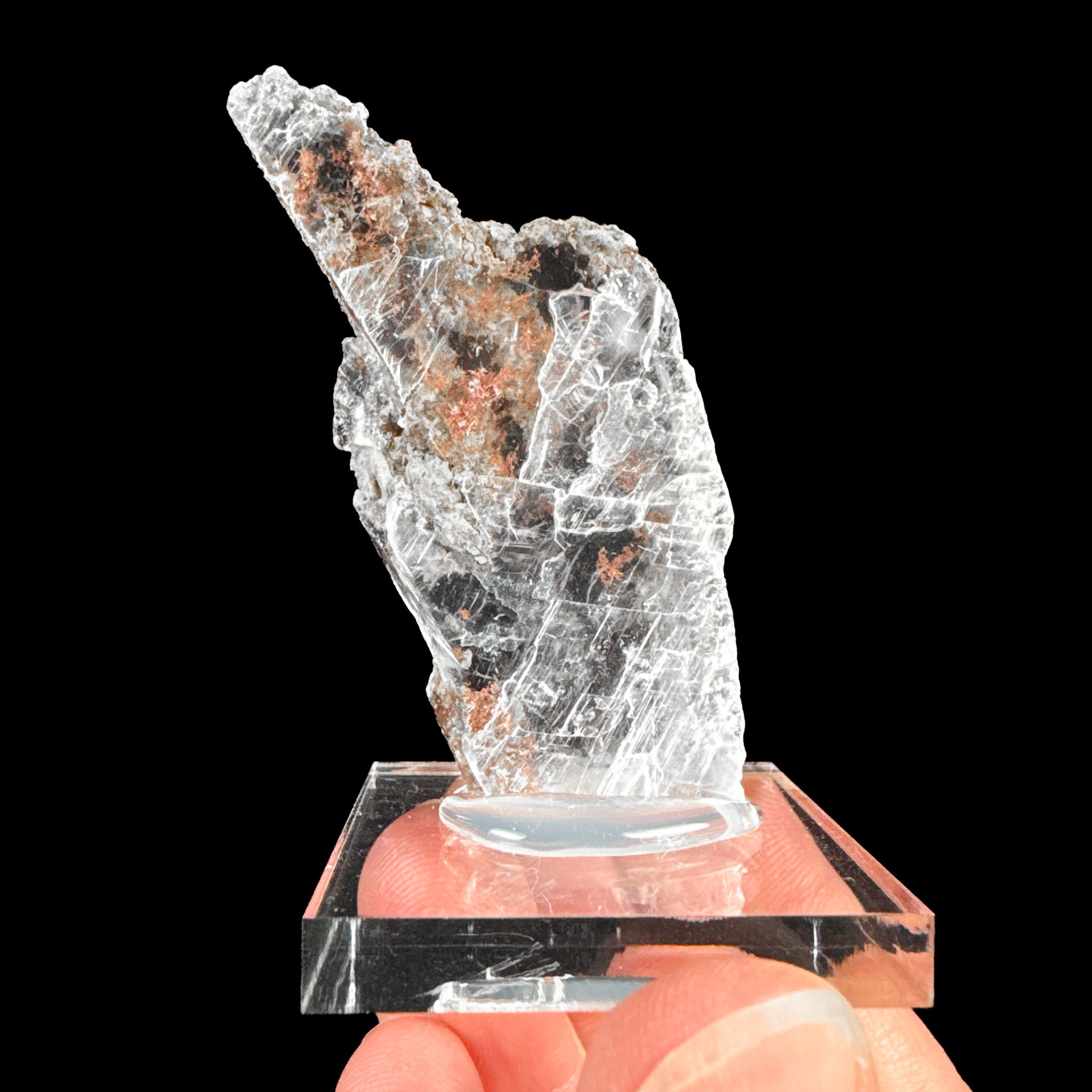 Native Copper crystals in Selenite from Mission Mine, Pima County, Arizona, USA