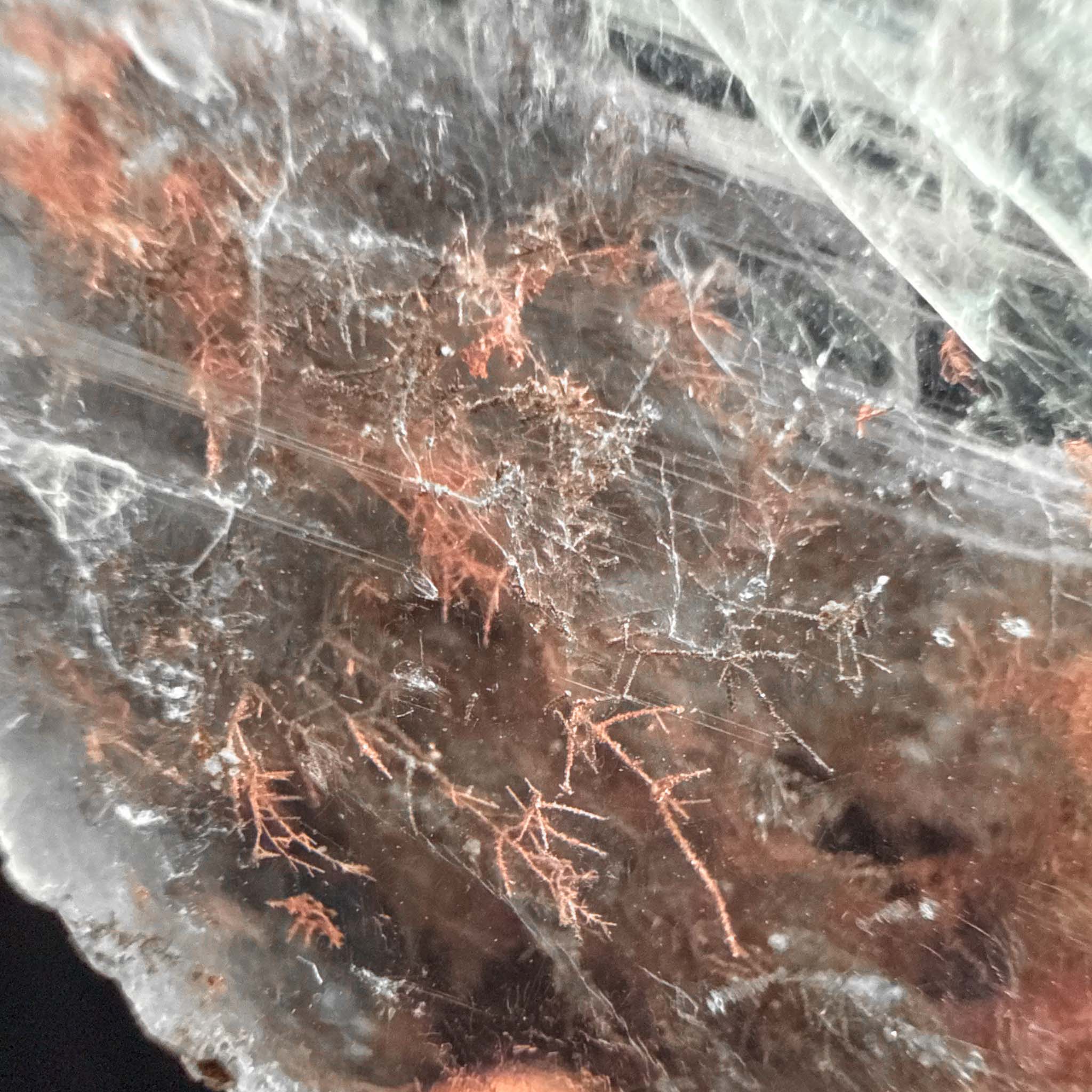 Native Copper in Selenite - Arizona