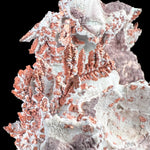 Native Copper Crystals from Phoenix Mine