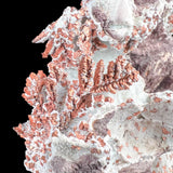 Close Up of Copper Crystal Twinning from Phoenix Mine, Michigan