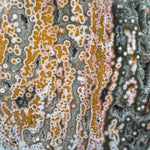 Close up of detailed orbicular Ocean Jasper rings and circles