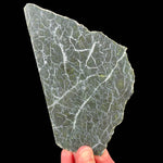 Slice of olivine / peridot from Washington state, USA