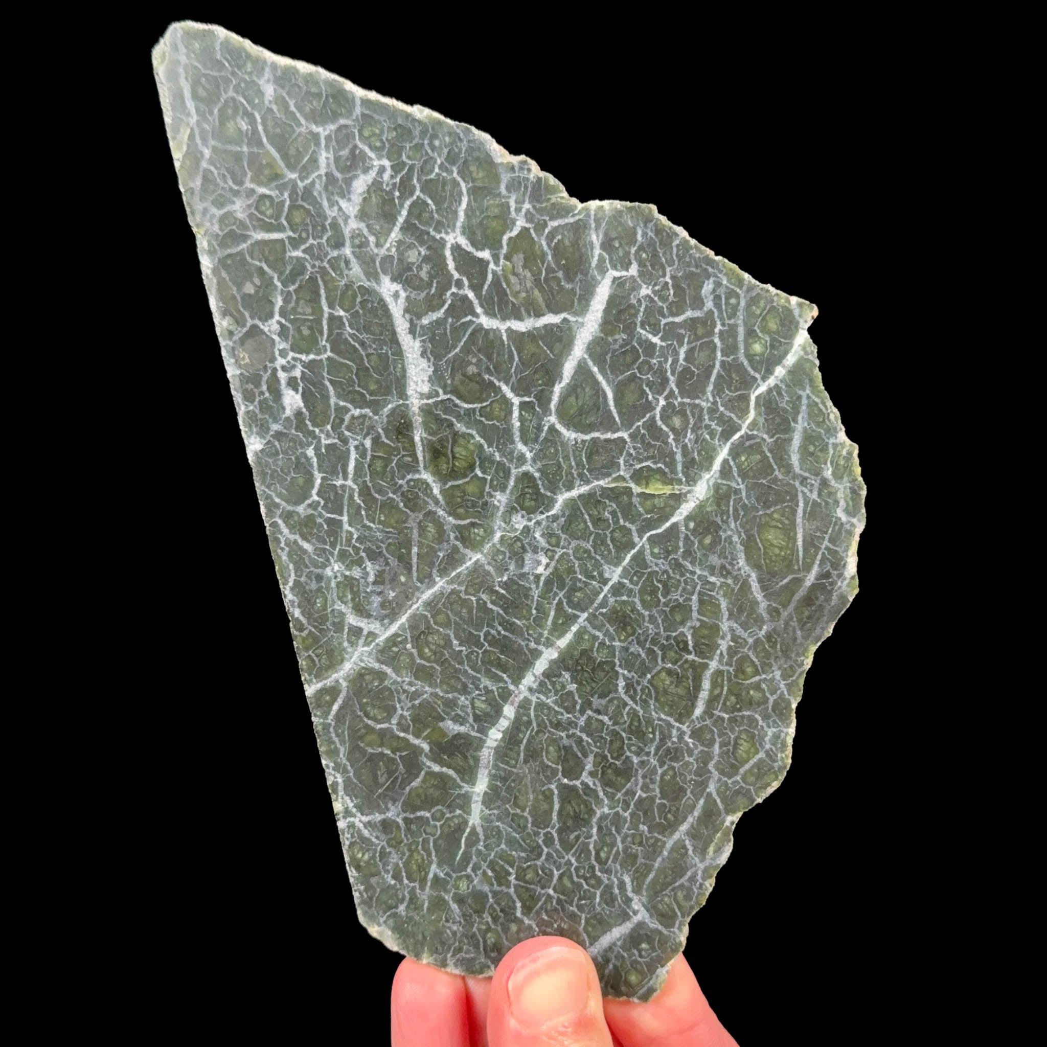 Slice of olivine / peridot from Washington state, USA