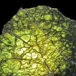 Backlit olivine and peridot slice from Washington state