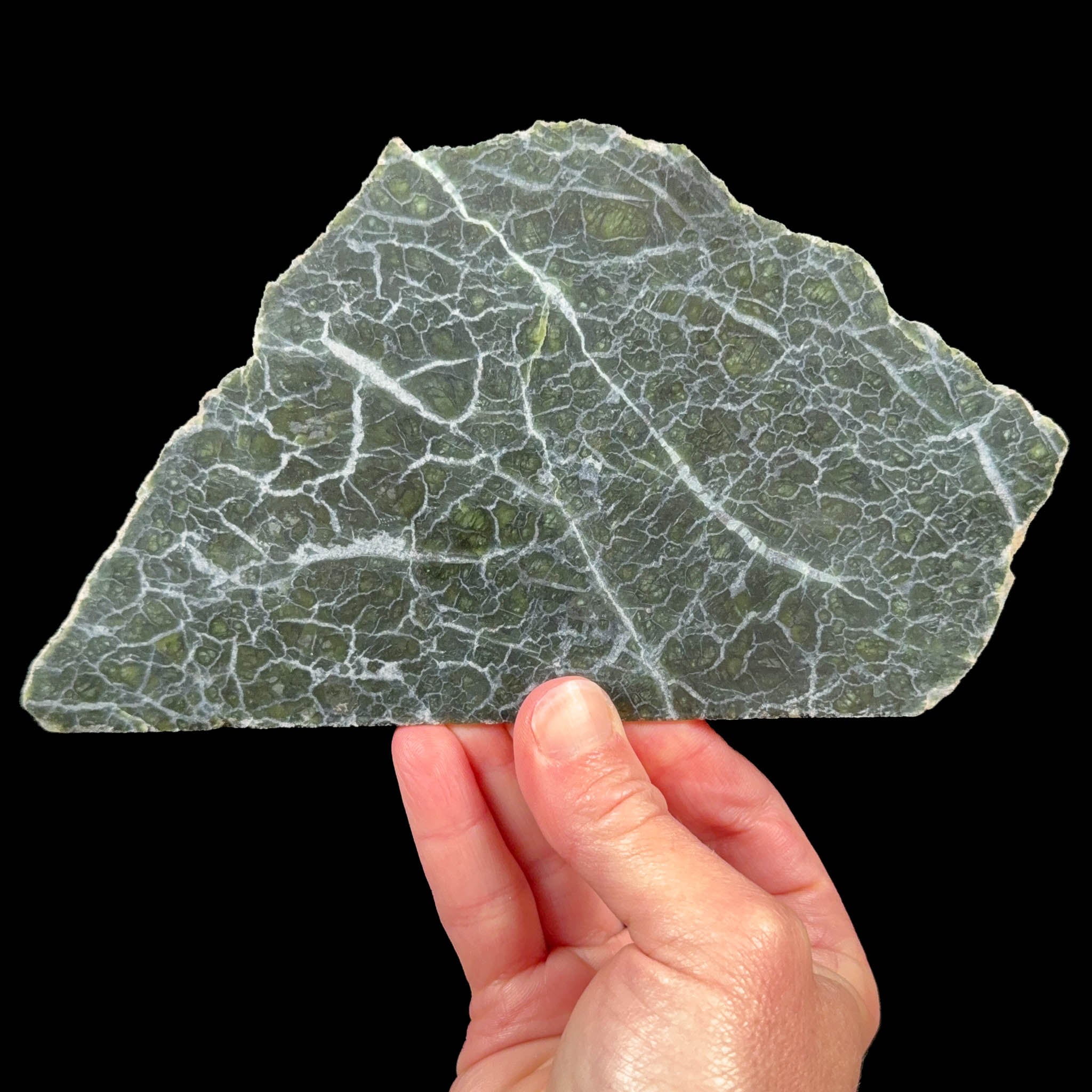 Olivine - Peridot slice from Washington, USA