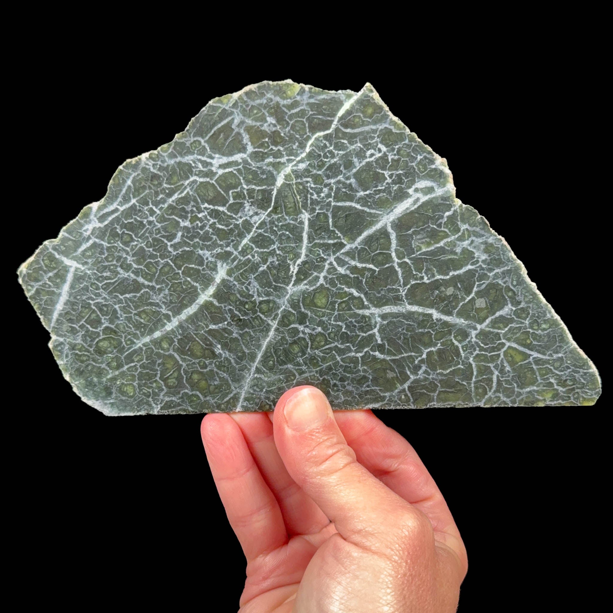 Olivine / Peridot slice, USA