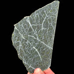 Olivine / Peridot slice from Washington, USA