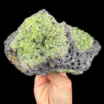 Olivine and Peridot crystals in a basalt rock matrix