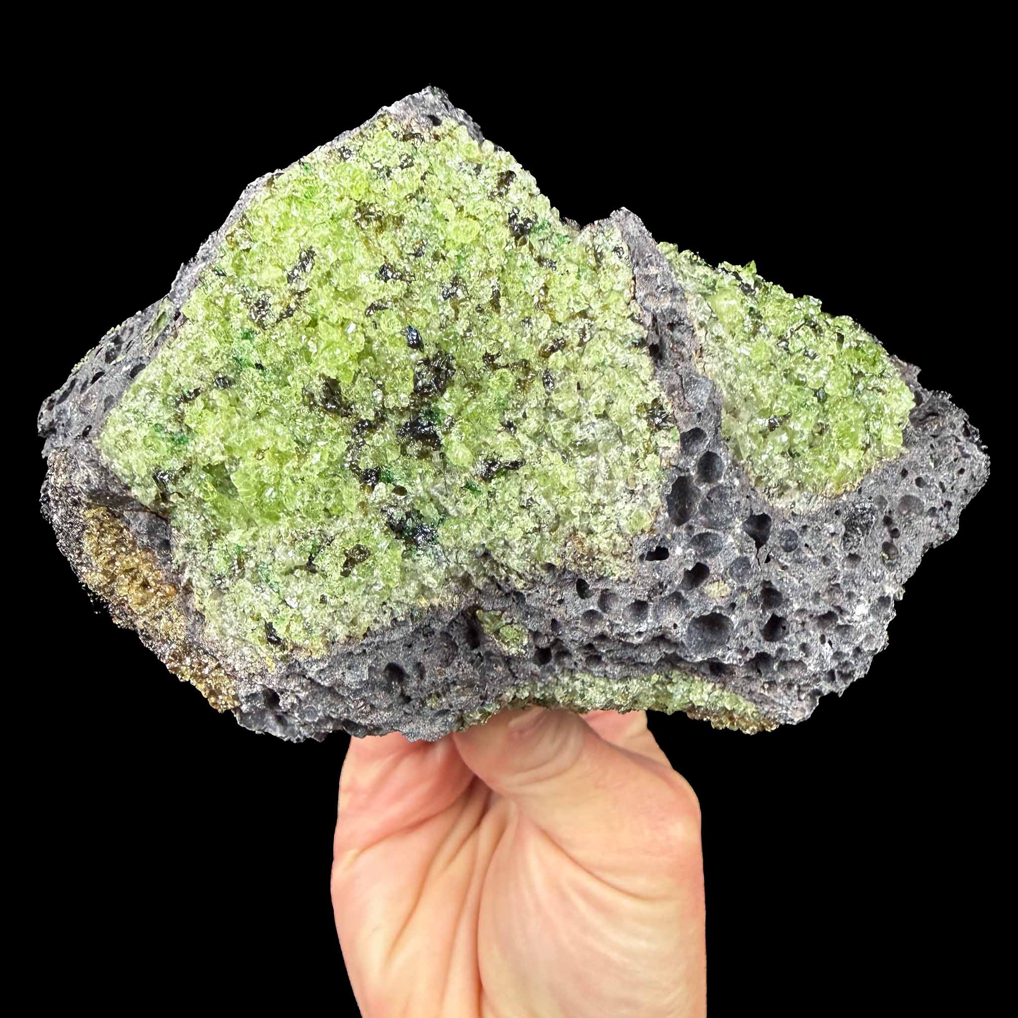Olivine and Peridot crystals in a basalt rock matrix