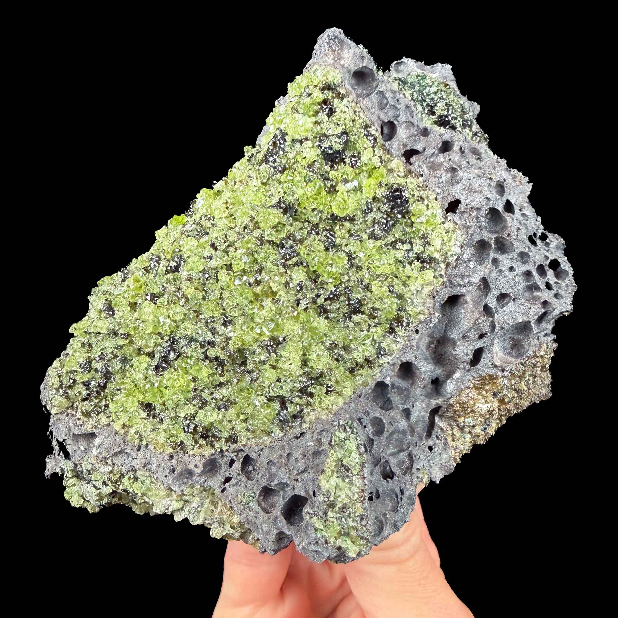 Green crystals of Olivine and Peridot in Basalt