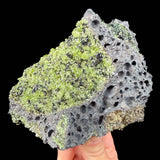 Olivine crystals in basalt - San Carlos Reservation, Arizona