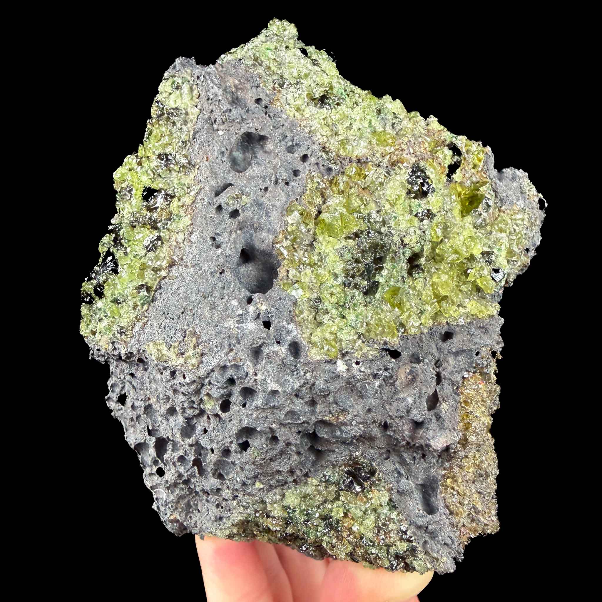 Green olivine and peridot crystals in a gray basalt rock matrix