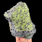 Olivine in basalt mineral specimen from San Carlos Reservation in Arizona