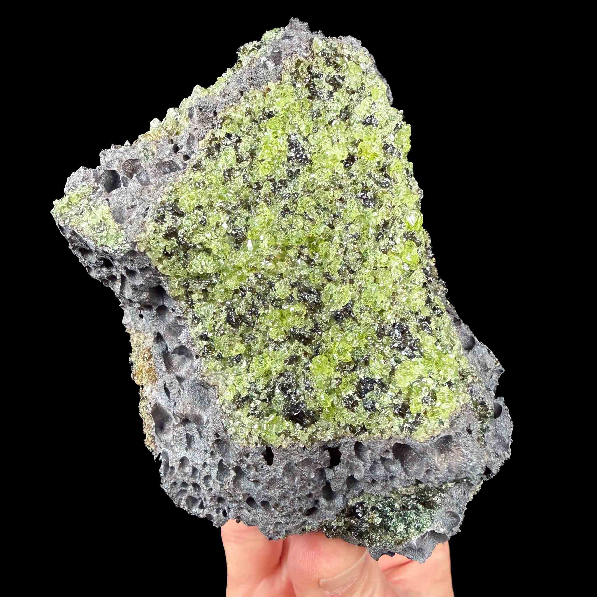 Olivine in basalt mineral specimen from San Carlos Reservation in Arizona