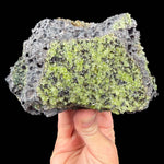 Green olivine and peridot crystals in a gray basalt rock matrix