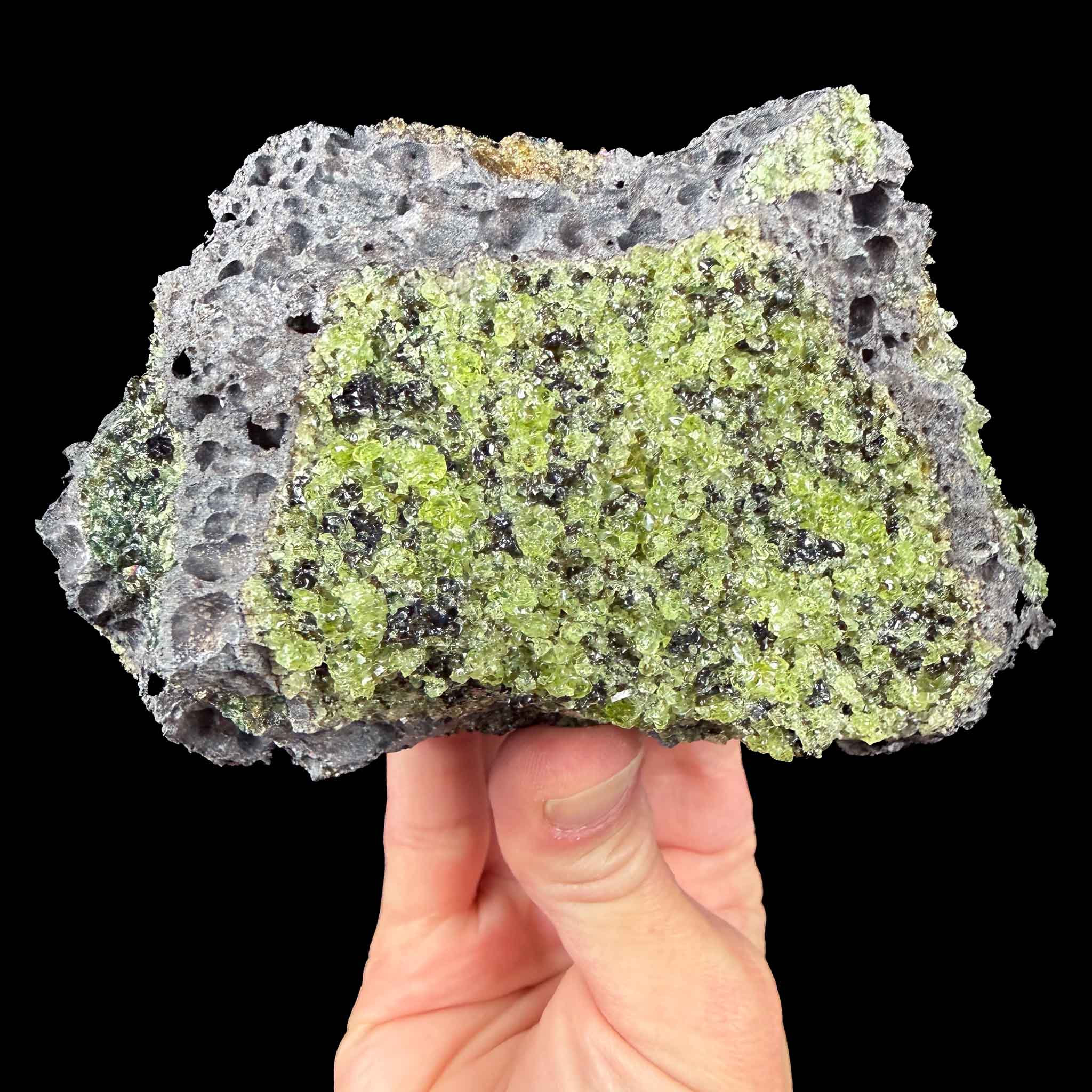 Green olivine and peridot crystals in a gray basalt rock matrix