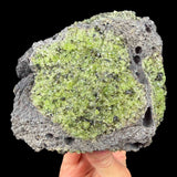 Green olivine and peridot crystals in basalt from San Carlos Reservation in Arizona