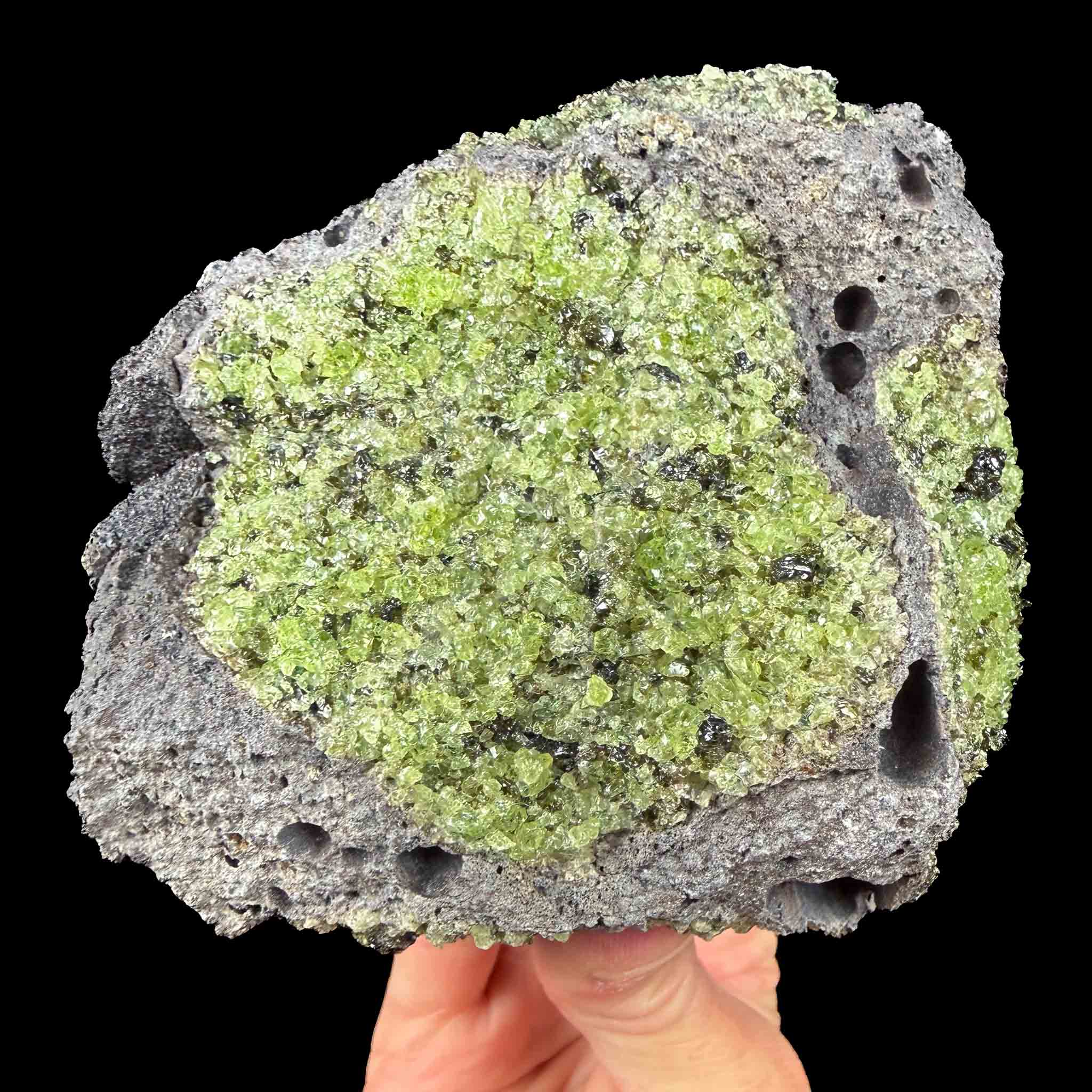 Green olivine and peridot crystals in basalt from San Carlos Reservation in Arizona