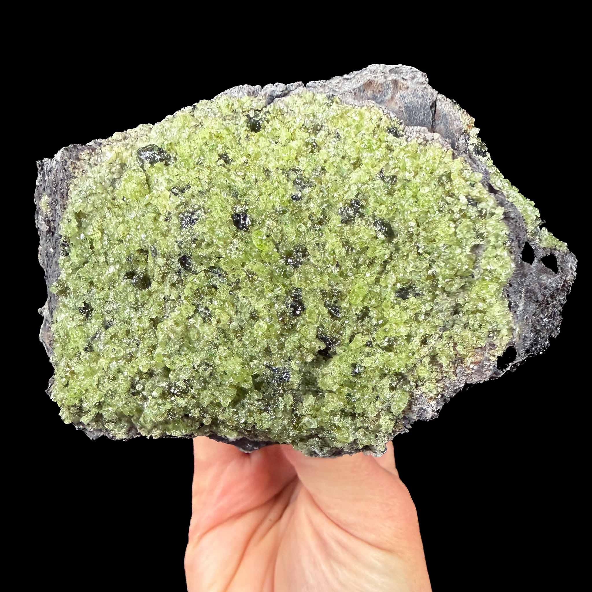 Olivine in basalt mineral specimen - Arizona