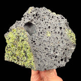 Vesicles in Basalt with Olivine crystals