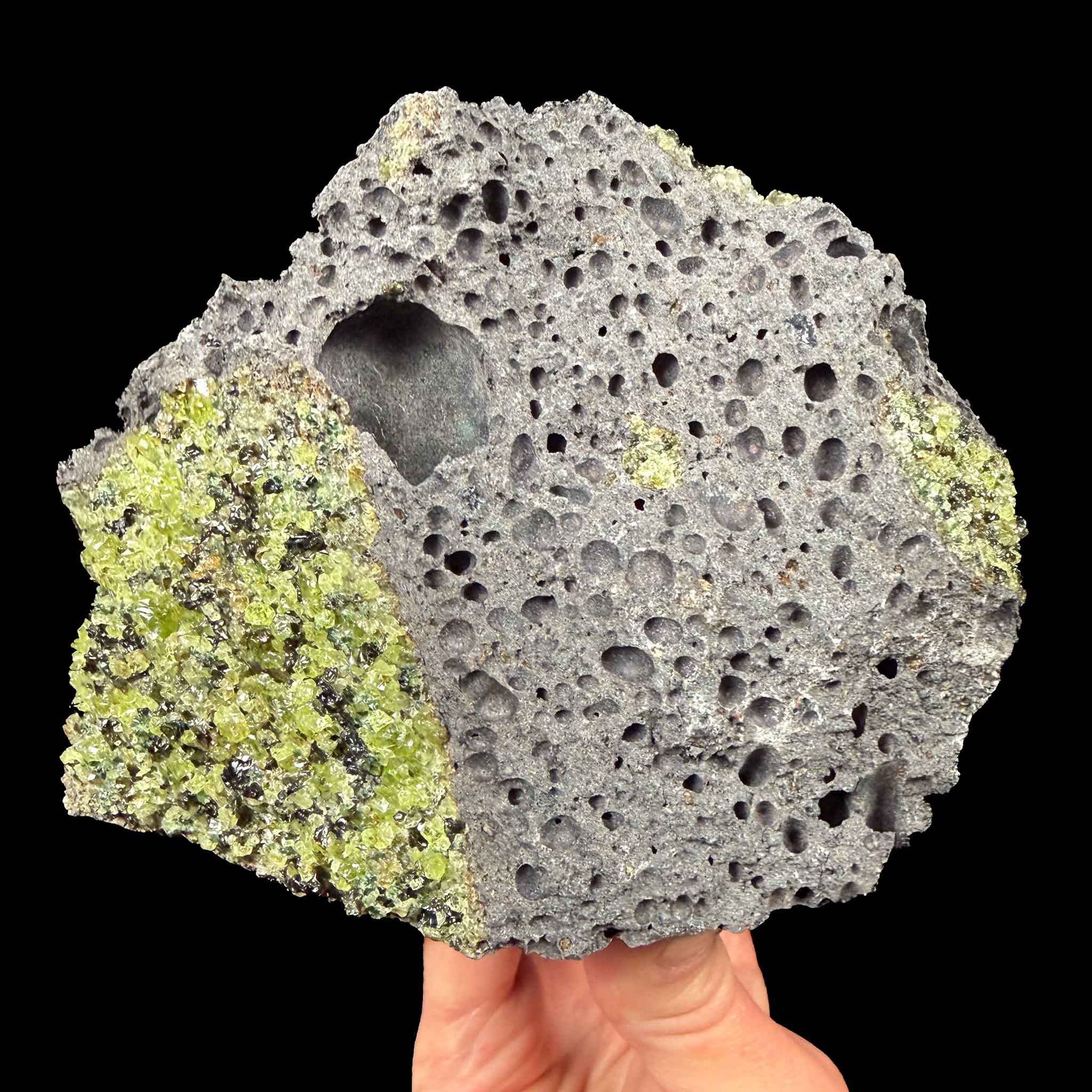 Vesicles in Basalt with Olivine crystals