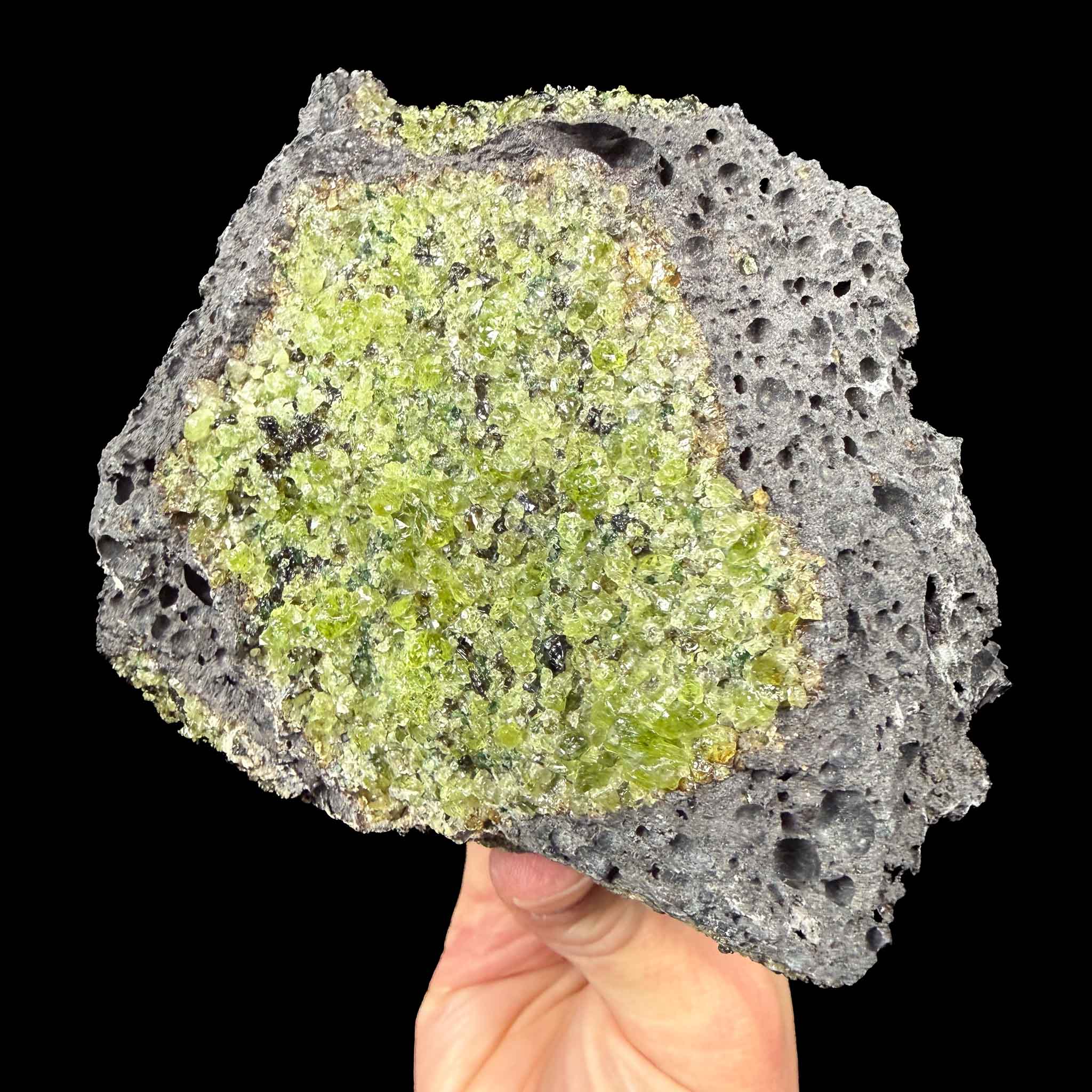 Peridot crystals in basalt rock matrix