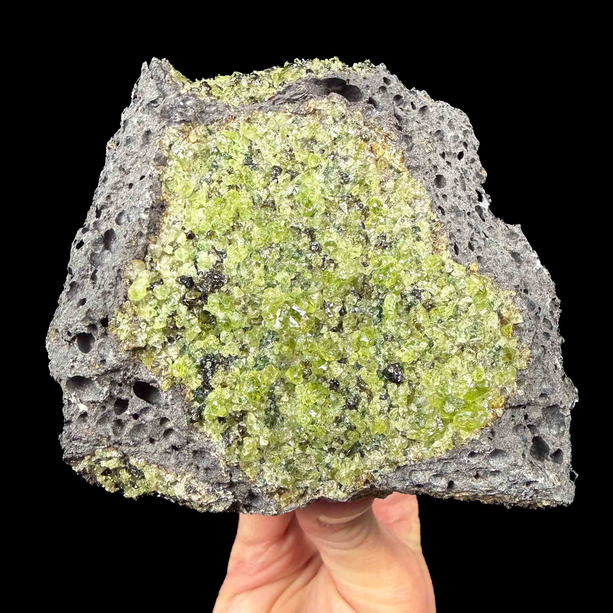 Olivine / Peridot crystals in Basalt - Arizona, USA