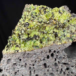 Close up of green Peridot crystals in gray Basalt rock matrix