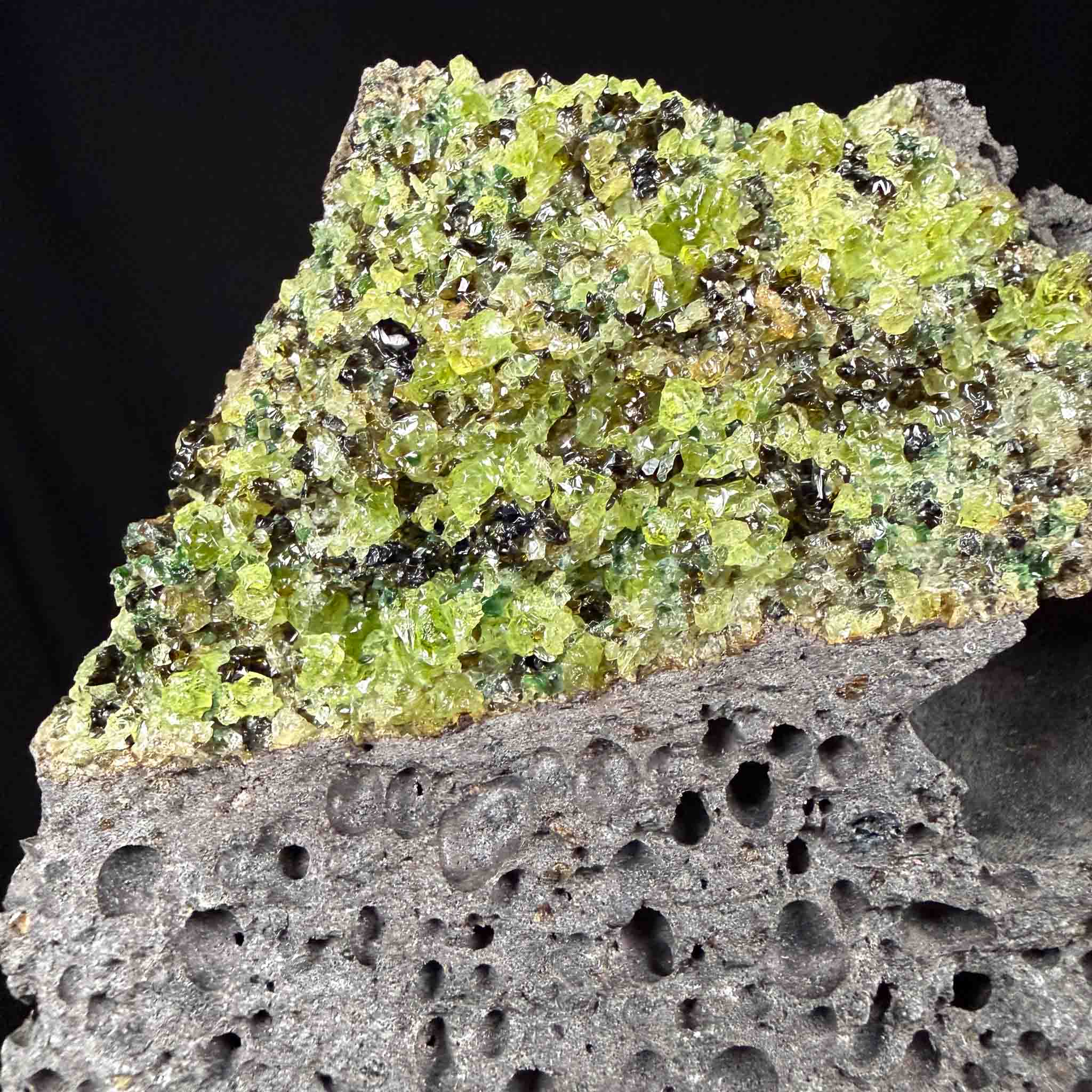 Close up of green Peridot crystals in gray Basalt rock matrix