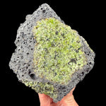 Olivine in Basalt from San Carlos Reservation, Arizona