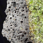 Close up of basalt air pockets with Olivine