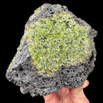 Olivine in Basalt mineral specimen - Arizona