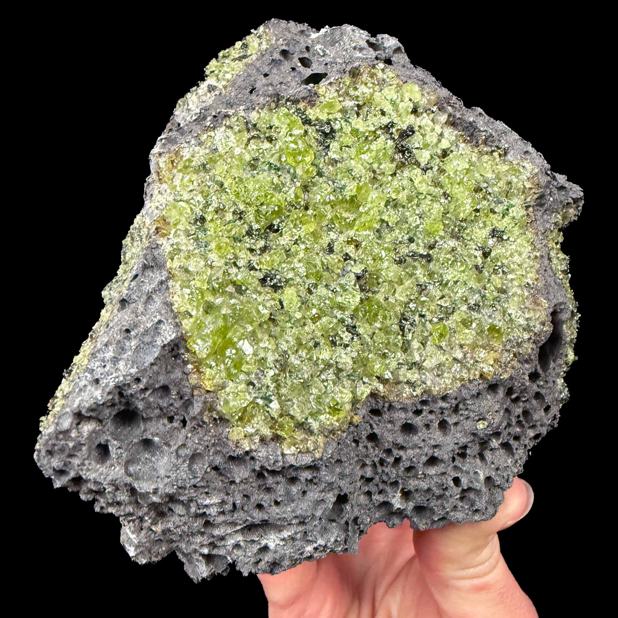 Olivine in Basalt mineral specimen - Arizona