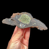 Interior of a volcanic bomb crystal specimen from Spain