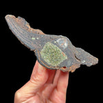 Olivine and Gabbro inside a volcanic bomb