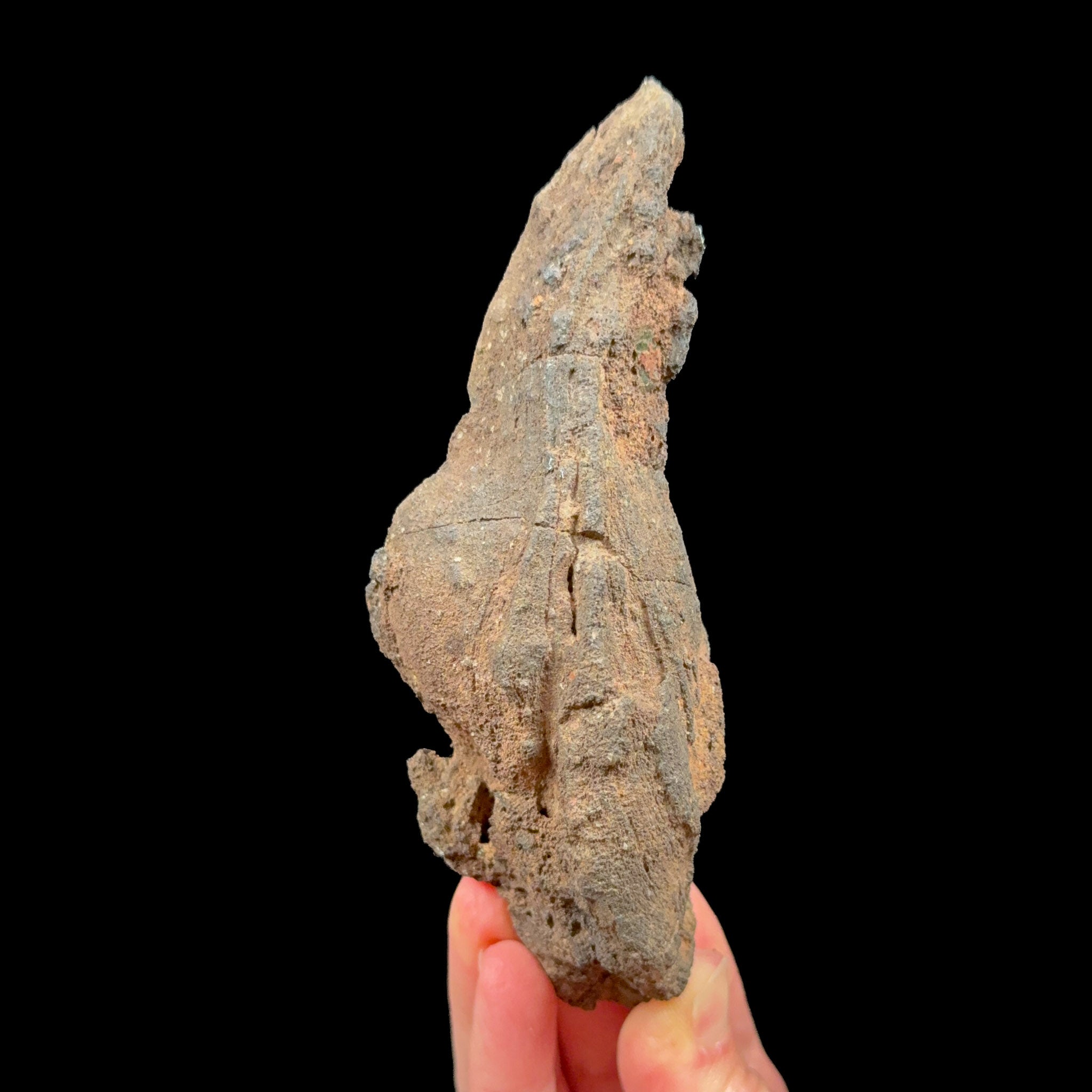 Exterior of volcanic bomb rock specimen