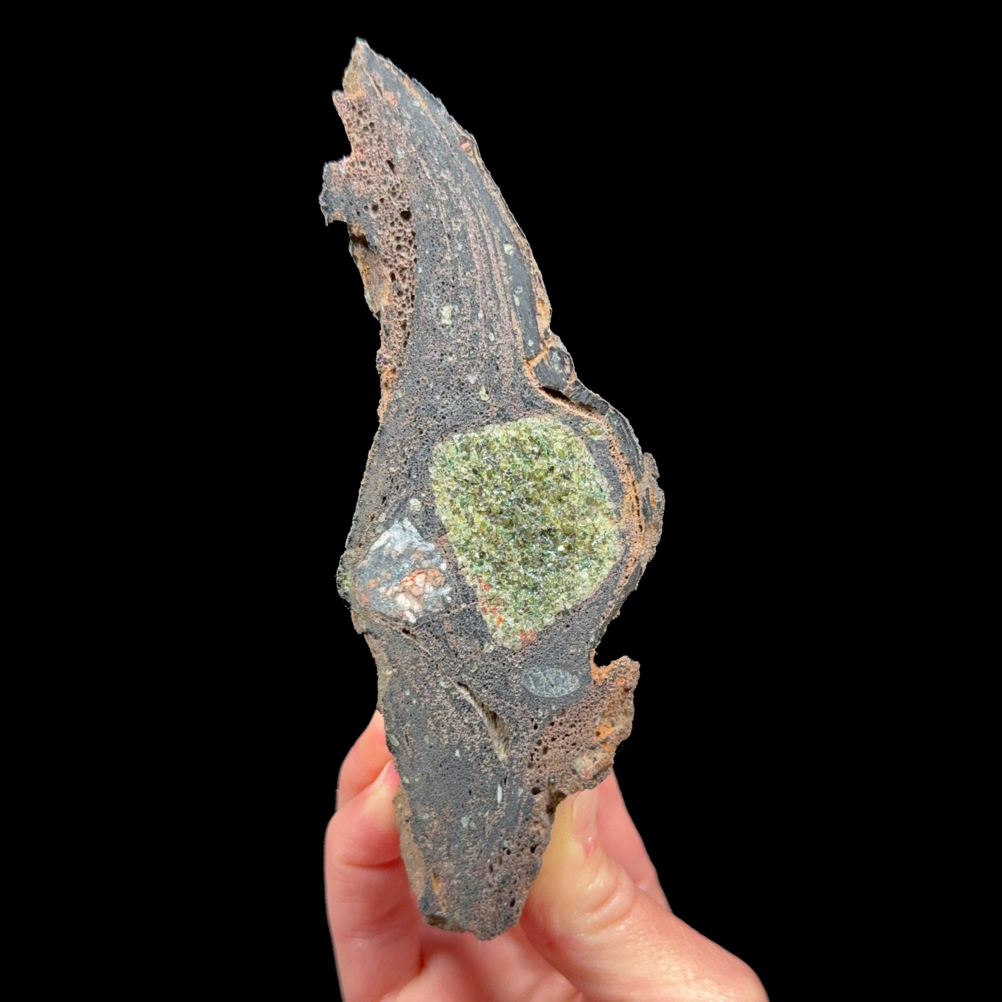 Olivine crystals on the interior of a volcanic bomb rock specimen