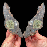 Interior of volcanic bomb mineral specimen from Spain