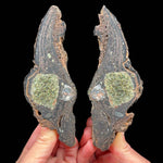 Interior of volcanic bomb with Olivine (Peridot) crystals inside from Spain