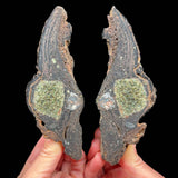 Interior of volcanic bomb with Olivine (Peridot) crystals inside from Spain
