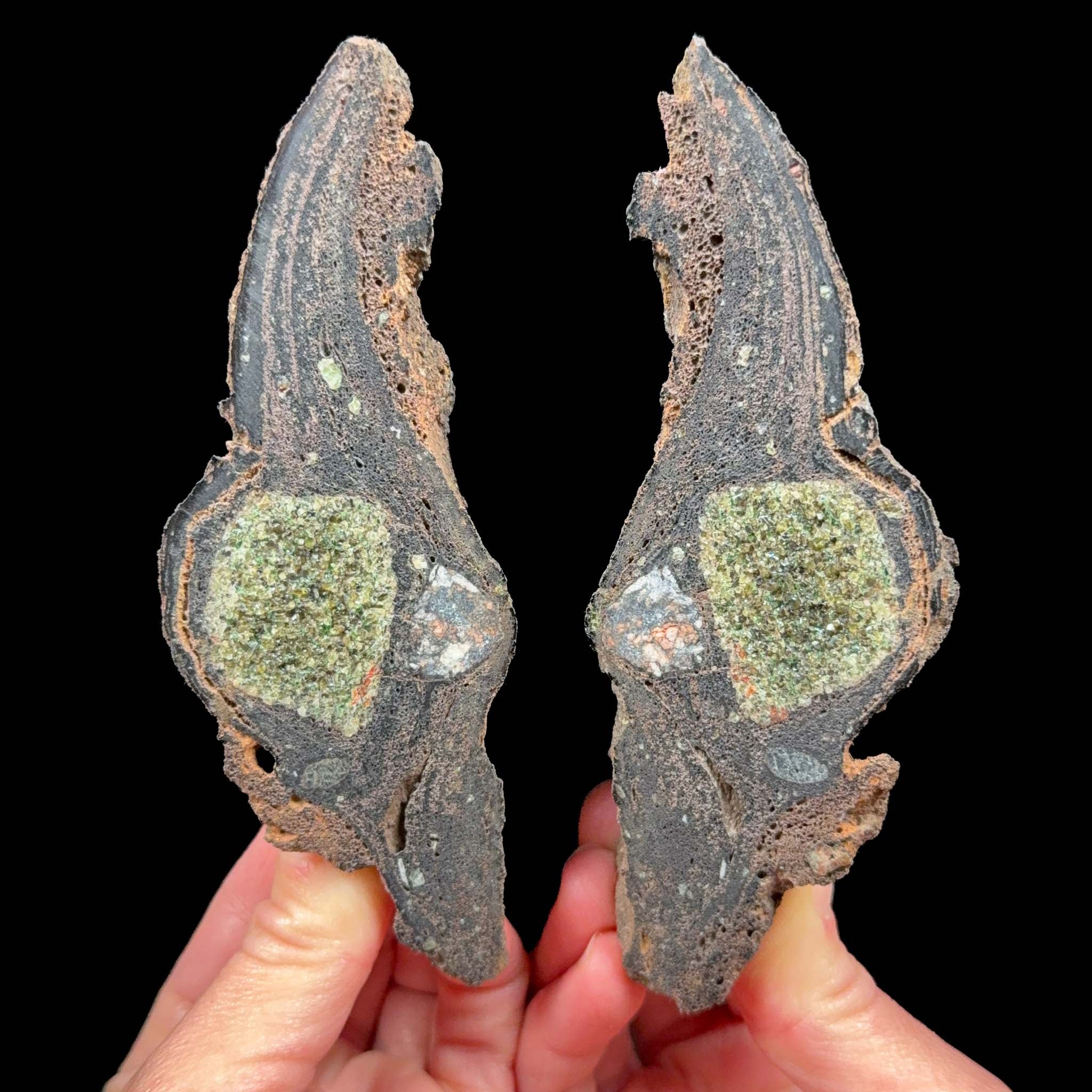 Interior of volcanic bomb with Olivine (Peridot) crystals inside from Spain