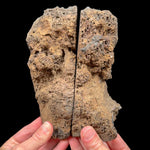 Exterior of volcanic bomb pair