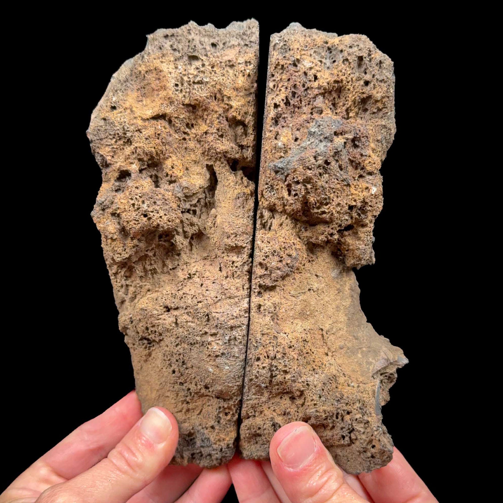 Exterior of volcanic bomb pair