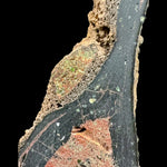 Close up of olivine and garnet crystals inside a volcanic bomb
