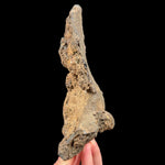 Exterior of volcanic bomb specimen from Spain