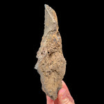 Exterior of volcanic bomb from Spain