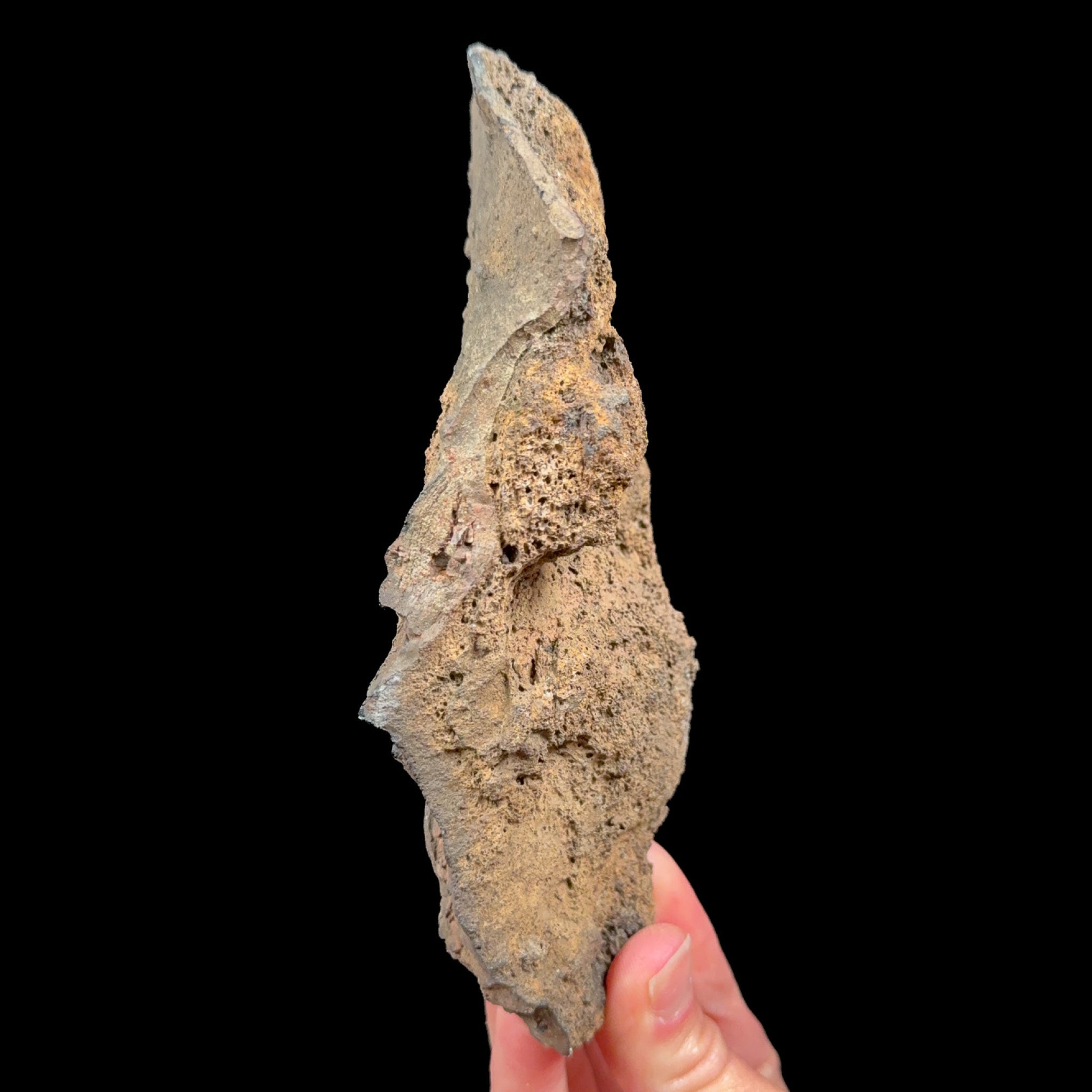 Exterior of volcanic bomb from Spain