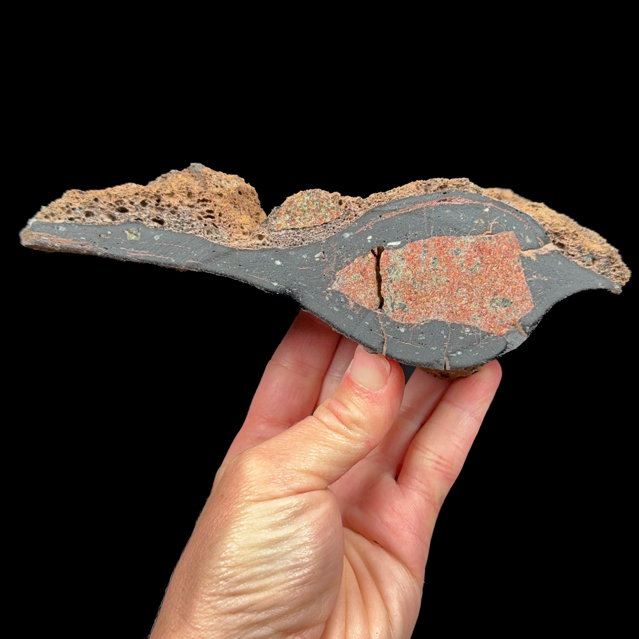 Interior of a volcanic bomb specimen from Spain with garnet and olivine 
