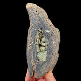 Olivine crystals inside a volcanic bomb mineral specimen